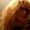 Photo of Gosia K.