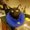 Photo of Minnah S.