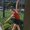 Photo of Caleigh M.