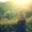 Photo of Qype User (adiii8…)