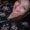 Photo of Liz A.