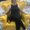 Photo of Traci S.