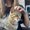 Photo of Katelyn S.