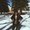 Photo of Melissa F.