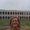 Photo of Kim C.