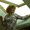 Photo of Margitta R.