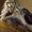 Photo of Christine N.