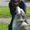 Photo of Fabienne M.