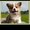 Photo of Kathy W.