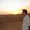 Photo of Dariush G.