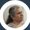 Photo of Consuela R.