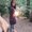 Photo of Elise B.