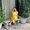 Photo of Nicole E.