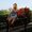 Photo of Liz T.