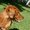 Photo of Marge A.