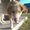 Photo of The Kid C.