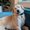 Photo of Missy