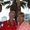 Photo of Darlene N.