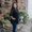 Photo of Dorathy M.