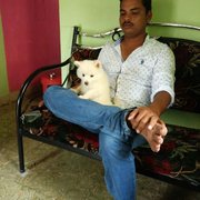 google avatar