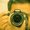Photo of Sachin L.
