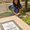 Photo of Maram E.