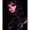 Photo of Amber N.