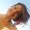 Photo of Tierra T.