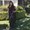 Photo of Sneha R.