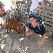 google avatar