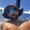 Photo of Eliad B.