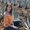 Photo of Stephanie G.
