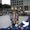 Photo of Diann S.