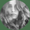 Photo of Selda K.