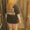 Photo of Tabitha J.