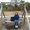 Photo of Livia L.