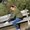 Photo of Cindy G.