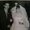 Photo of Voula H.