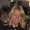 Photo of Kellie L.