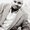 Photo of Bj B.