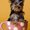Photo of Araceli R.