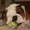 Photo of yelpy y.