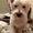 Photo of RJ S.