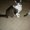 Photo of Moochie L.