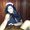 Photo of Lisa A.