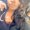 Photo of Tiyona L.