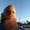 Photo of Jon M.