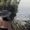 Photo of Nena C.