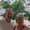 Photo of CarlandMarsha T.