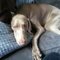 SophTheWeim H.